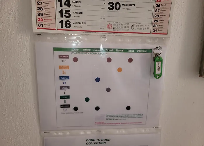 Bingo 2 阿尔盖罗