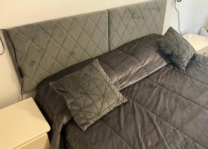 Bingo 2 阿尔盖罗