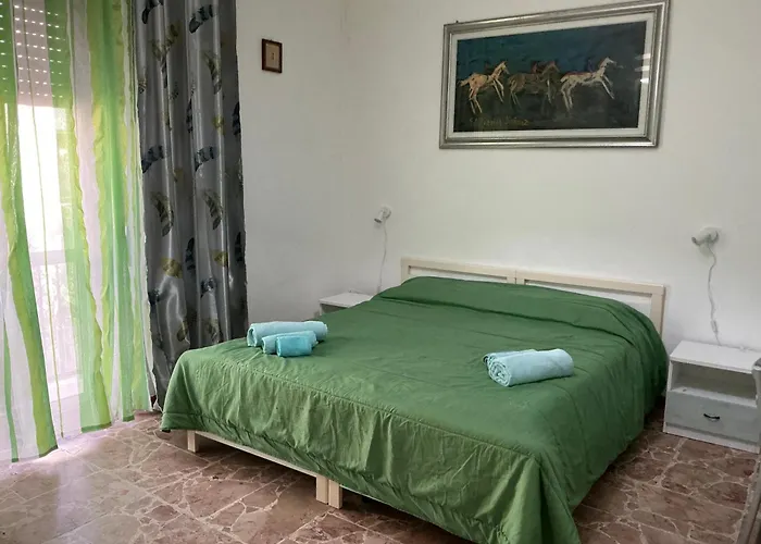 Bingo 2 招待所 阿尔盖罗