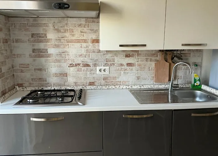 Bingo 2 招待所 阿尔盖罗