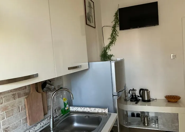 Bingo 2 * 阿尔盖罗