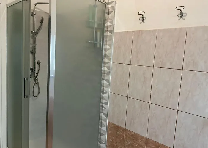 Bingo 2 阿尔盖罗