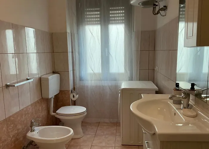 Bingo 2 招待所 阿尔盖罗