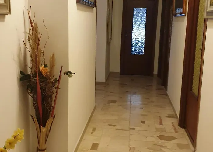 Bingo 2 * ألغيرو