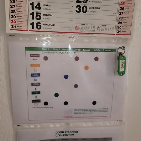 Bingo 2 アルゲーロ